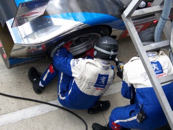 Retour dans le passé - 24 Heures du Mans 2009