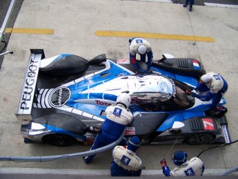 Retour dans le passé - 24 Heures du Mans 2009